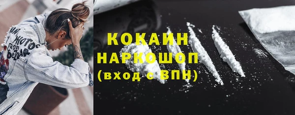 шишки Белокуриха