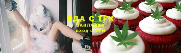 шишки Белокуриха