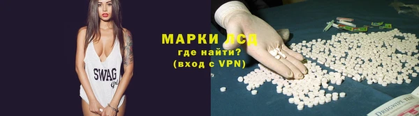 ГАЛЛЮЦИНОГЕННЫЕ ГРИБЫ Балахна
