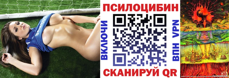 Псилоцибиновые грибы ЛСД Невельск